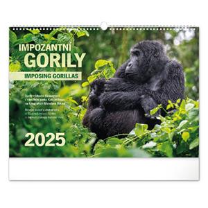 Kalendarz ścienny 2025 Imponujące goryle