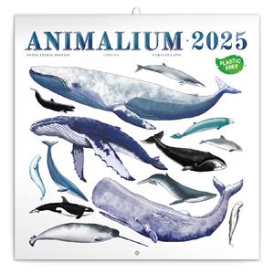 Kalendarz ścienny Animalium 2025