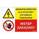 NIEBEZPIECZEŃSTWO DLA ŻYCIA PRZY... - WSTĘP ZAKAZNY!, ZNAK ŁĄCZONY, płyta PVC 1 mm, 297x210 mm