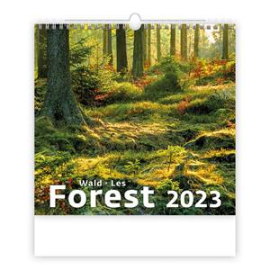 Ścienny Kalendarz 2023 - Forest