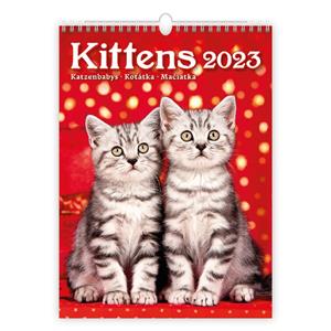 Ścienny Kalendarz 2023 - Kittens