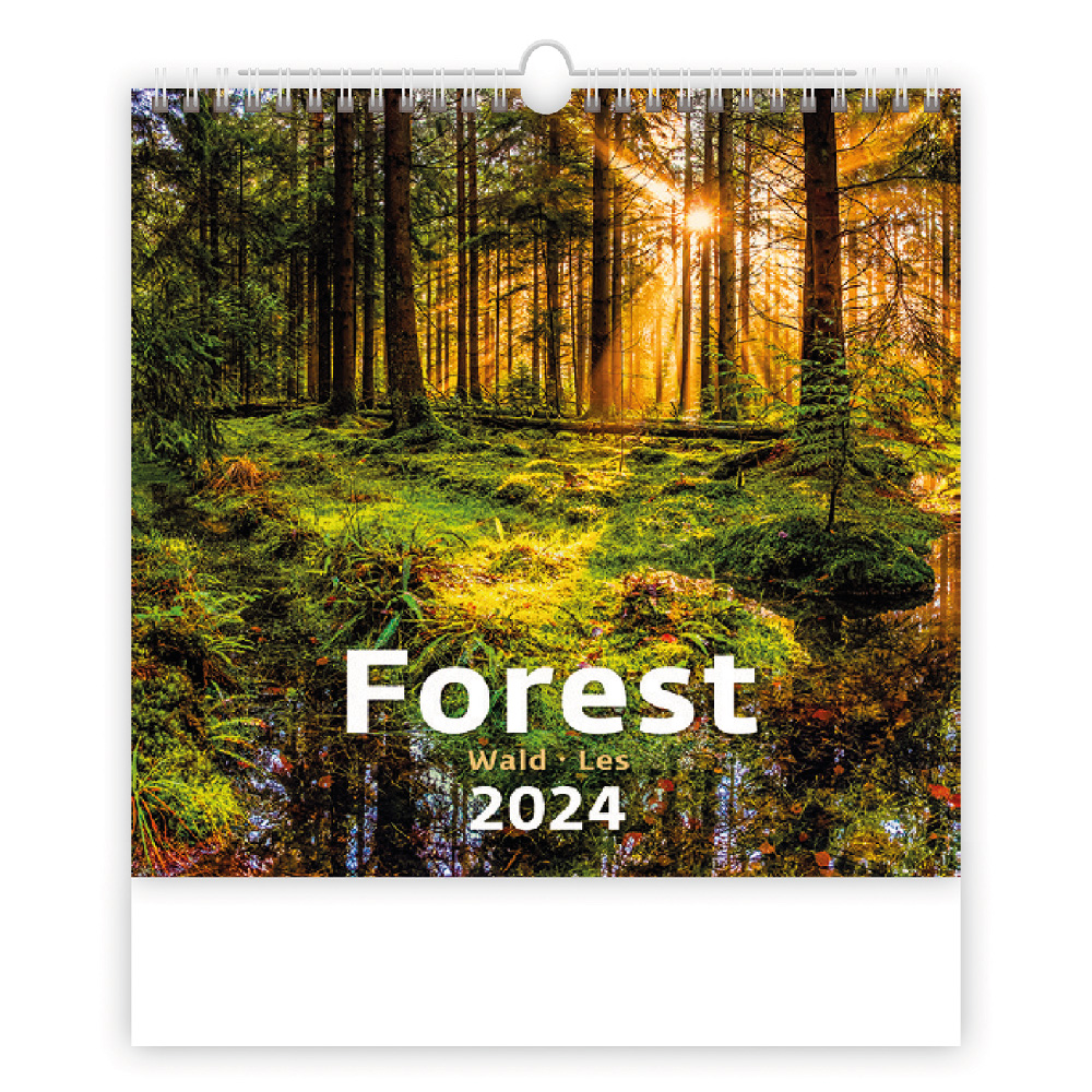Ścienny Kalendarz 2024 Forest AAAkalendarze.pl